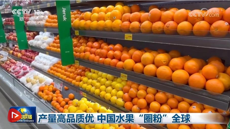 7b893b8c-52fb-4db5-996a-f62c3fca01b3.png