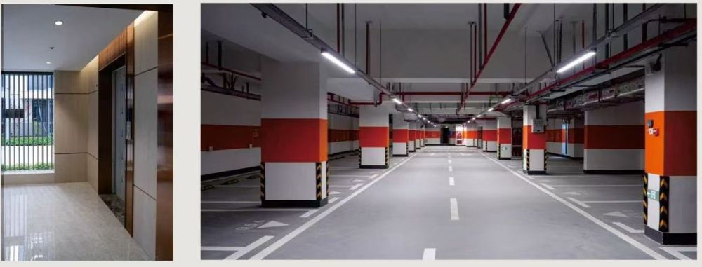 54110afeeb9a4847bf4c3e3c74e7b1fb.jpg