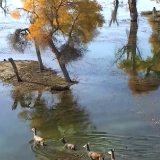 《音画阿克苏》 | 丝路古龟兹·神奇阿克苏