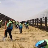新思想引领新征程丨在中国式现代化建设中挺膺担当