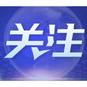 美经济分析人士：美“对等关税”政策是重大误判