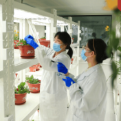 国际锐评丨中国方案为全球妇女发展提供新路径