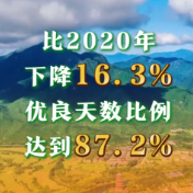 新发展理念看变化丨绿色发展享自然