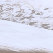 “初冬限定”美景上线！一起来欣赏吧