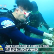 视频丨高标准建设海南自由贸易港 总书记重要讲话引发热烈反响