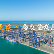 走读高质量发展丨封关在即 带你走进海南自贸港“样板间”洋浦