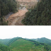 四中全会精神在基层丨荒山“焕新”记