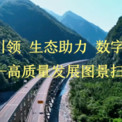 人才引领 生态助力 数字转型——高质量发展图景扫描