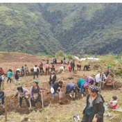 牢固树立“两山”理念 打造生态文明高地系列报道——茶香弥漫,百姓笑了!