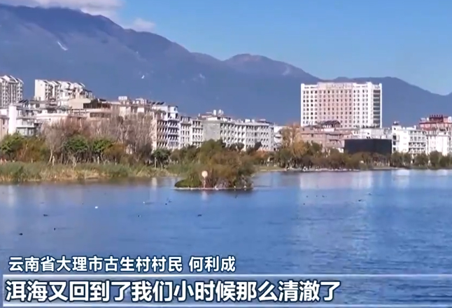 总书记的人民情怀丨绿水青山间的幸福