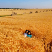 AI绘春晖|李华的春日来信