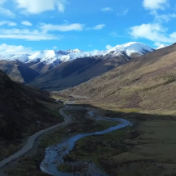 GLOBALink丨Plateau harvest season: searching for caterpillar fungus above 4,000 meters 