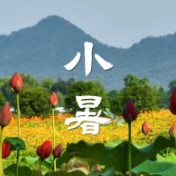 文化中国行丨小暑，心向清凉好时节