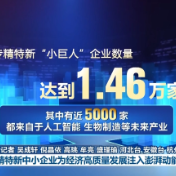 新思想引领新征程丨专精特新中小企业为经济高质量发展注入澎湃动能