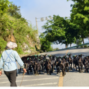 四访花江峡谷大桥丨我看见一座桥与一片土地的新生
