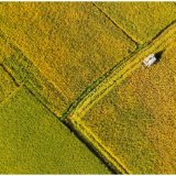 好评中国丨广袤田野向“新”萌发，迈实新一轮千亿斤粮食产能提升每一步