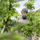 “三农”账本，这“两个缩小”含金量最高！