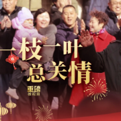 重磅微视频丨一枝一叶总关情