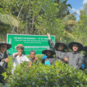 新春走基层丨我带着中国技术在斯里兰卡种红茶