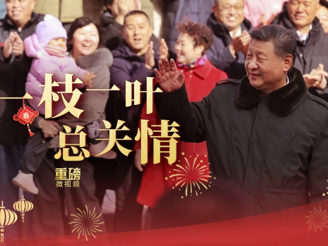 重磅微视频丨一枝一叶总关情