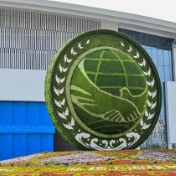 特稿丨风云激荡展担当——2026开年中国元首外交回眸