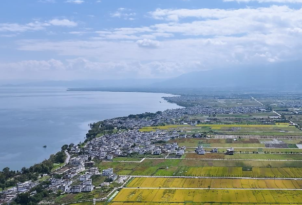 习近平总书记关切事丨幸福花开新农家