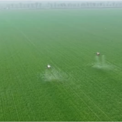 构建“监测预警+技术服务+物资保障”三重防线保障夏粮稳产丰产