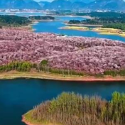 凝心聚力 真抓实干 奋力实现“十五五”良好开局丨筑牢生态安全屏障 加快建设美丽中国