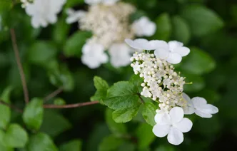 长沙这处高架下，藏了一片春天