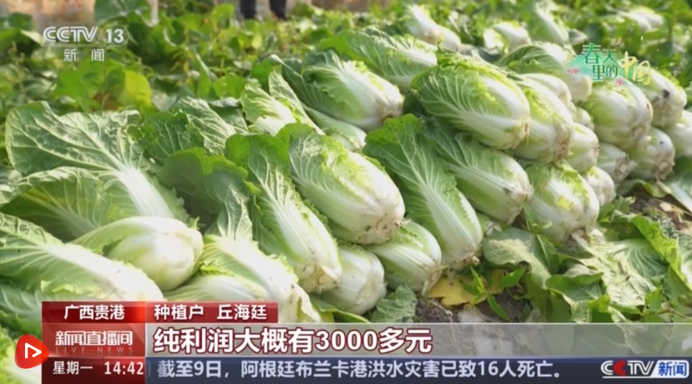 QQ20250311-103248.png