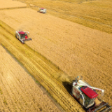 Heilongjiang vows to ramp up hi-tech farming