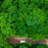 新华鲜报丨“植”此青绿!一起去种树