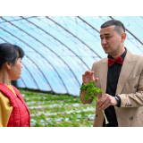 “馕言文”火出圈，新疆小伙花式助农走红