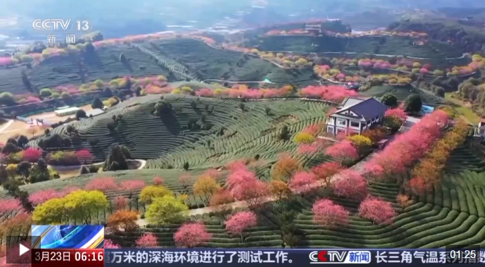 QQ20250324-103250.png