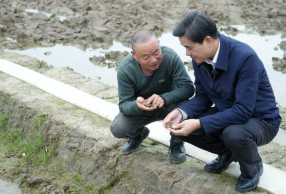 跟着院士去种地丨一粒稻种的“觉醒”