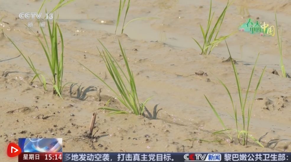 QQ20250324-104333.png