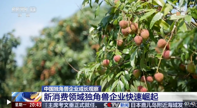 QQ20250624-201922.png