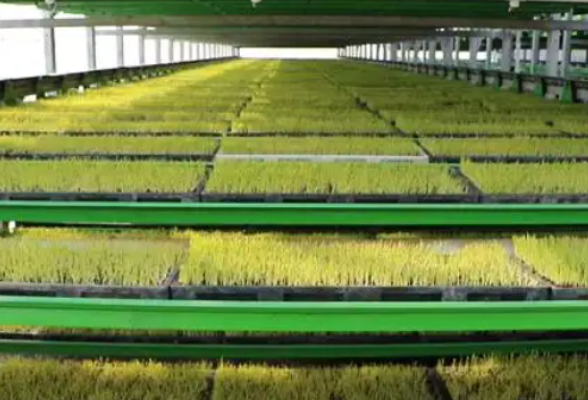 《立体循环式育苗成套设备》行业标准研讨会在长沙召开