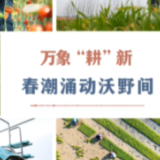 万象“耕”新 春潮涌动沃野间