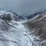 报效祖国 建功西部丨90后扎根高原11年 带领村民解锁致富新方式