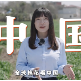 储粮知事丨棉花的一生之中国棉花看新疆