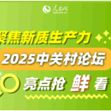 聚焦新质生产力 2025中关村论坛亮点抢“鲜”看