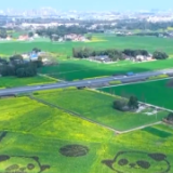 文化中国行丨二十四节气·惊蛰 春雷始鸣 万物蓬勃生发