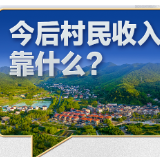 习近平的民生之问丨“今后村民收入靠什么？”