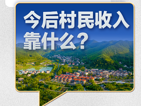 习近平的民生之问丨“今后村民收入靠什么？”