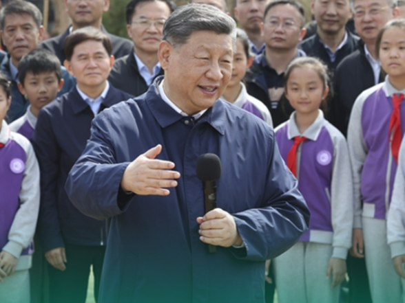 拾光纪·“植”此青绿，跟着总书记共建美丽家园