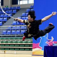 “拳”力以赴!湖南省第六届中学生运动会武术比赛在新邵开赛