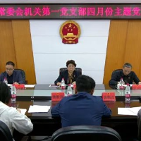 周迎春参加所在党支部主题党日活动：持续改进作风 积极创新争优