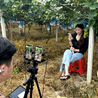 宝庆甄选雨中直播助农 邀您来果园畅吃阳光玫瑰葡萄