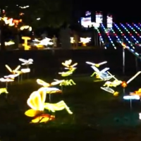 邵阳潮流夜市开市！体验“湘超”足球激情与烟火盛宴的双重狂欢